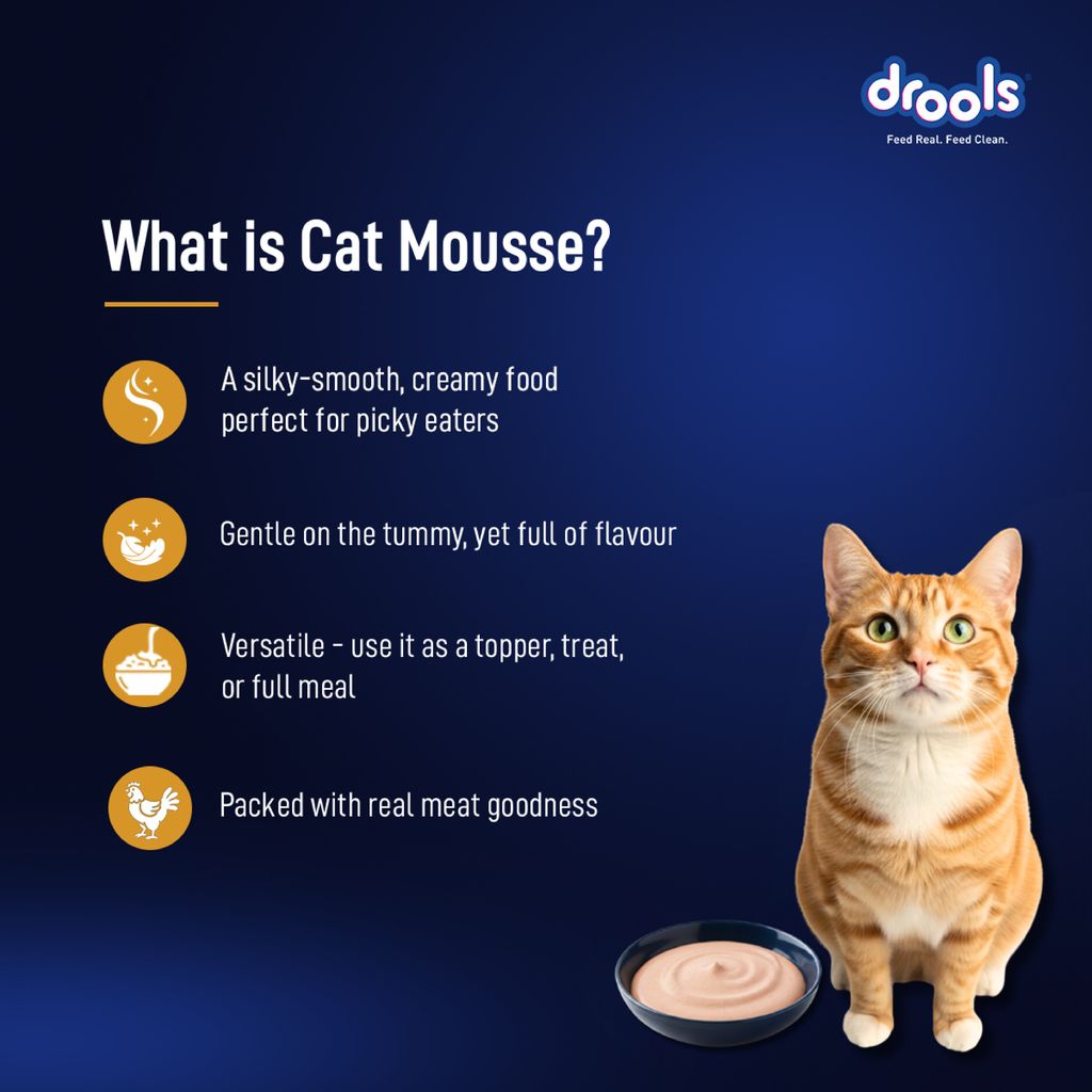 Drools Chicken Mousse Cat Wet Food 80gm
