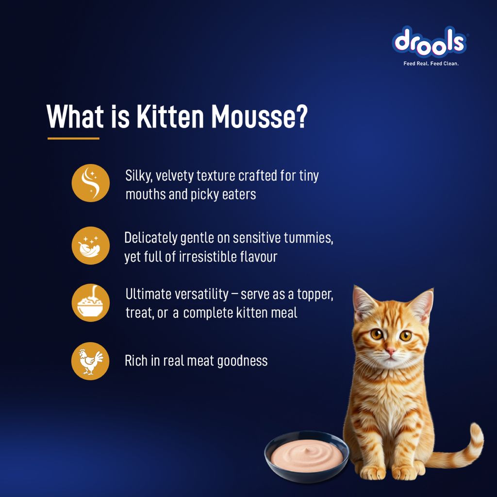 Drools Chicken Mousse Kitten Wet Food 80gm