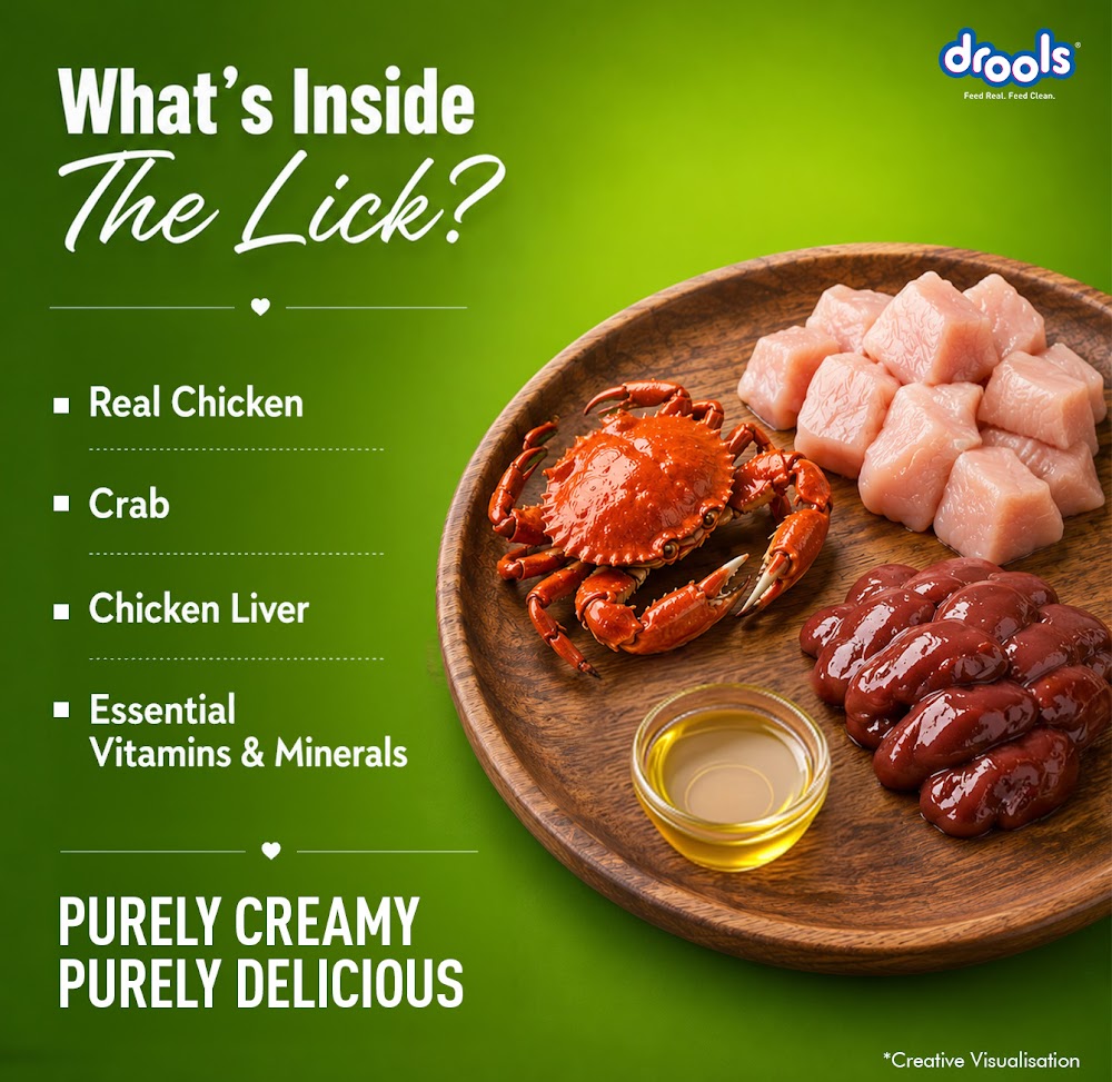 Drools Creamy Crab & Chicken (5x15g)