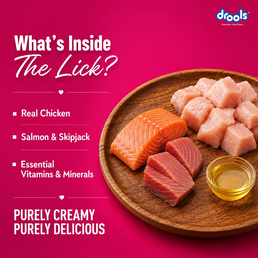 Drools Creamy Salmon&Skipjack (5x15g)