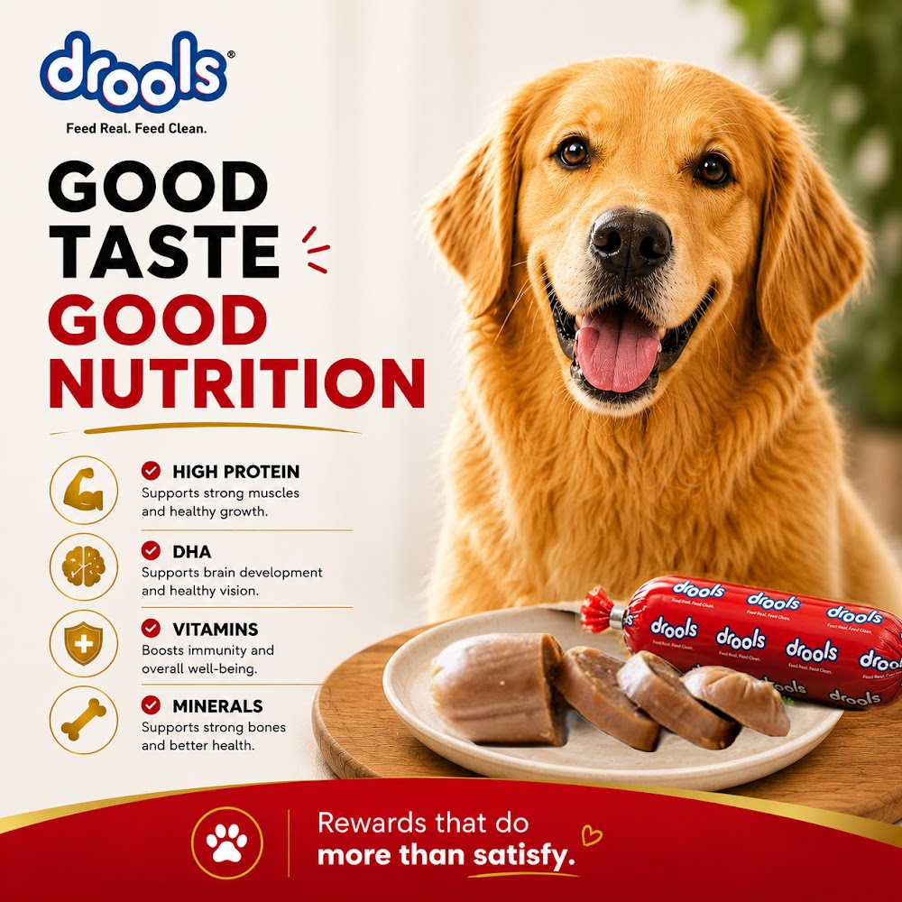 Drools Dog Sausage 5pcs