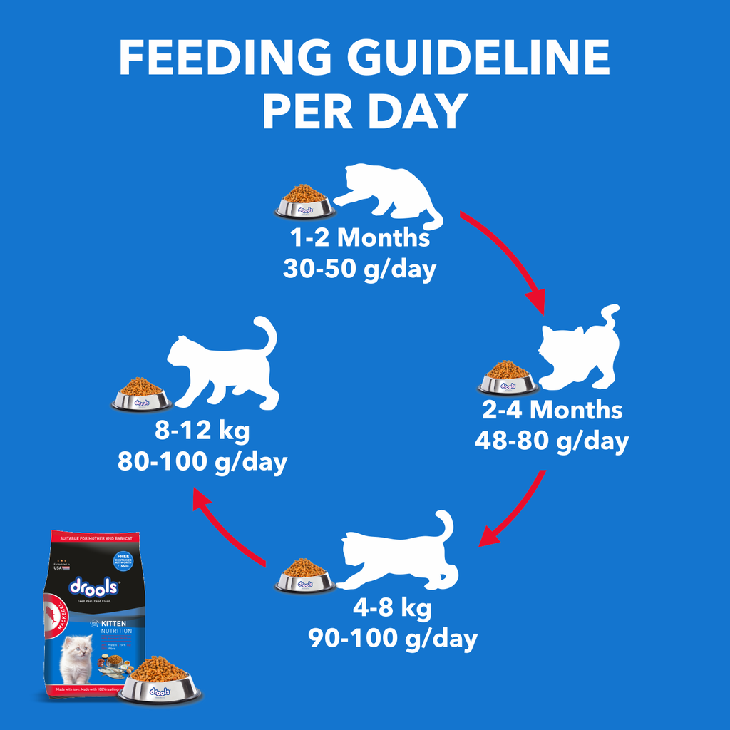 Drools Kitten Mackerel Dry Food 1kg (with Container Free)