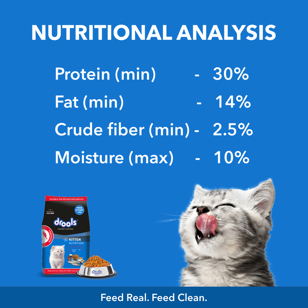 Drools Kitten Mackerel Dry Food 1kg (with Container Free)