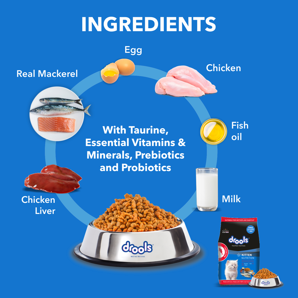 Drools Kitten Mackerel Dry Food 1kg (with Container Free)