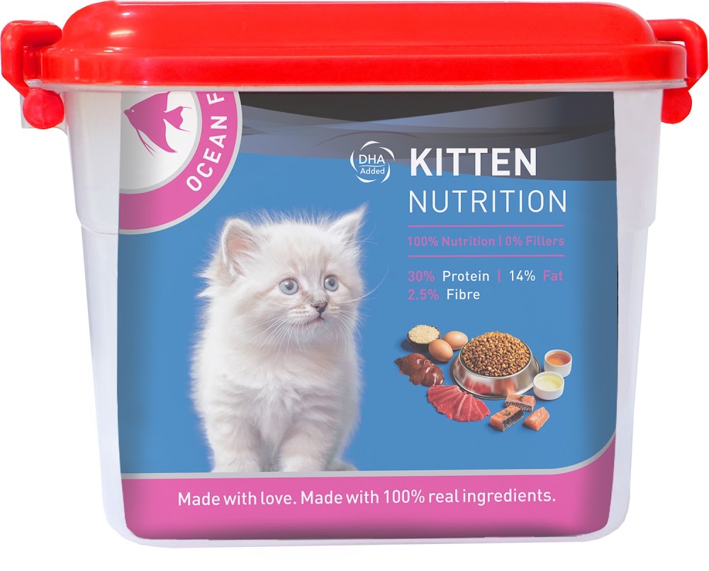 Drools Kitten(1-12 Months) Dry Cat Food, Ocean Fish, 1.2kg with Free Container