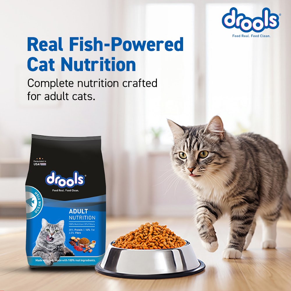 Drools Ocean Fish 7kg