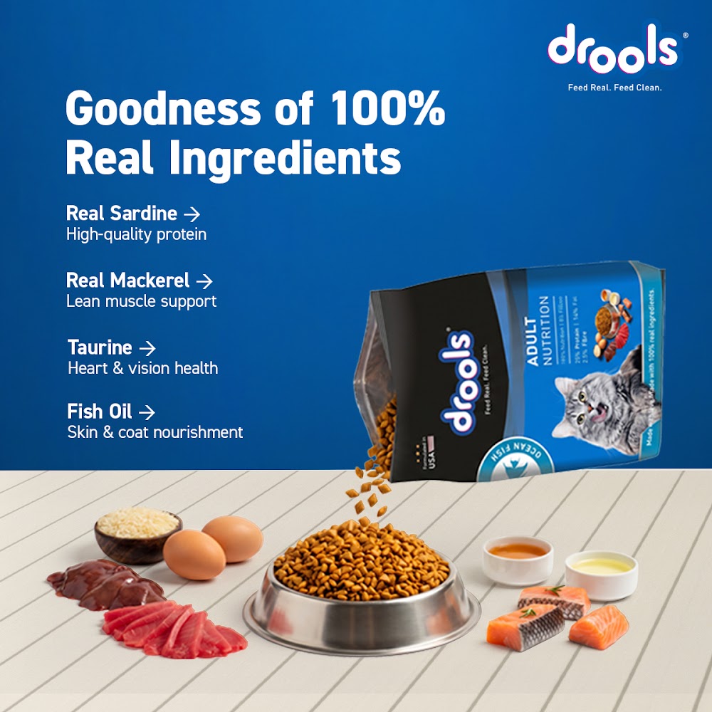 Drools Ocean Fish 7kg