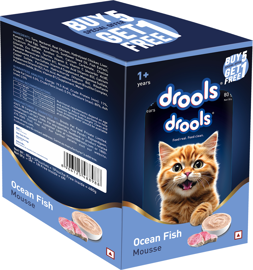 Drools Ocean Fish Mousse Cat 80gm(5+1)Pc