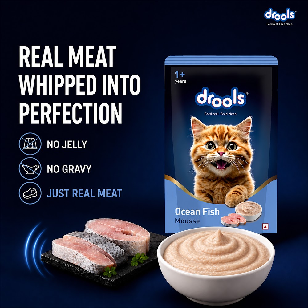 Drools Ocean Fish Mousse Cat 80gm(5+1)Pc