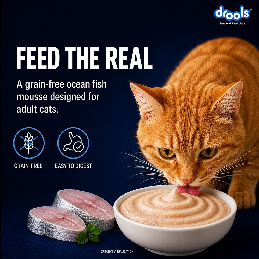 Drools Ocean Fish Mousse Cat 80gm(5+1)Pc