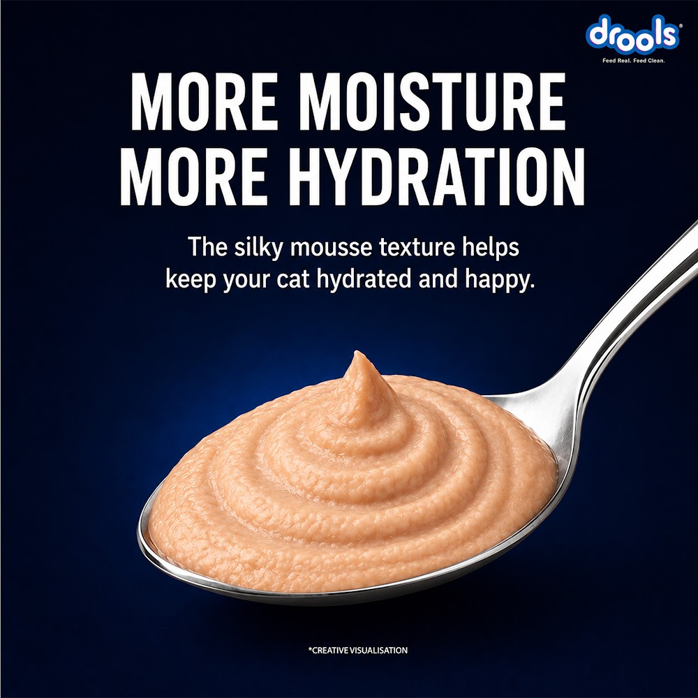 Drools Ocean Fish Mousse Cat 80gm(5+1)Pc