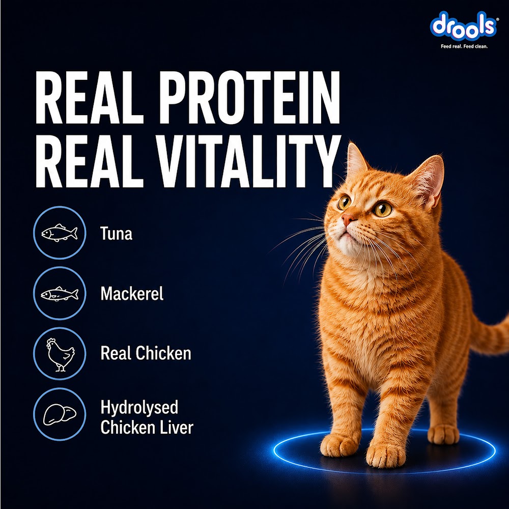 Drools Ocean Fish Mousse Cat 80gm(5+1)Pc