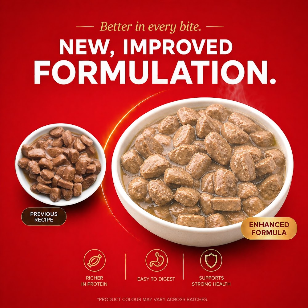 Drools Puppy Wet Dog Food, Real Chicken and Chicken Liver Chunks in Gravy,10 Pouches + 2 Pouches Free (12 x 60g )