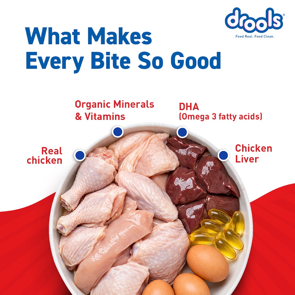 Drools Puppy Wet Dog Food, Real Chicken and Chicken Liver Chunks in Gravy,10 Pouches + 2 Pouches Free (12 x 60g )