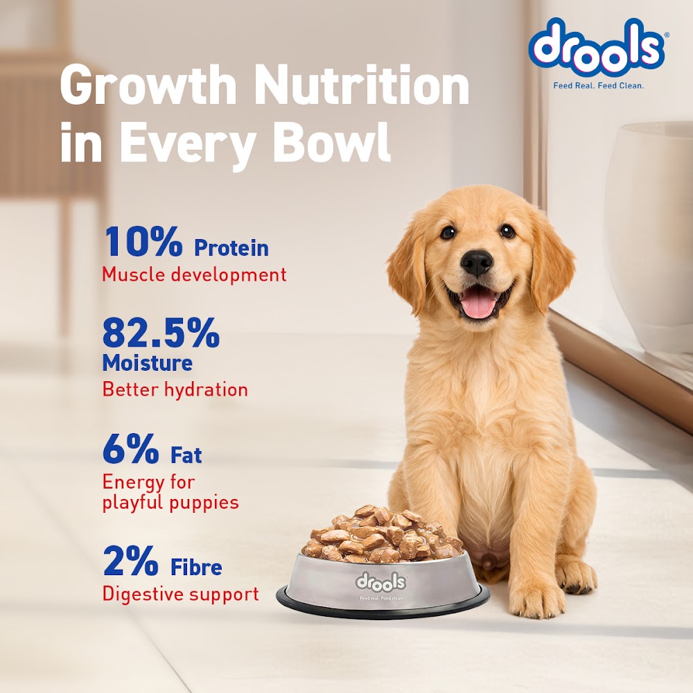 Drools Puppy Wet Dog Food, Real Chicken and Chicken Liver Chunks in Gravy,10 Pouches + 2 Pouches Free (12 x 60g )