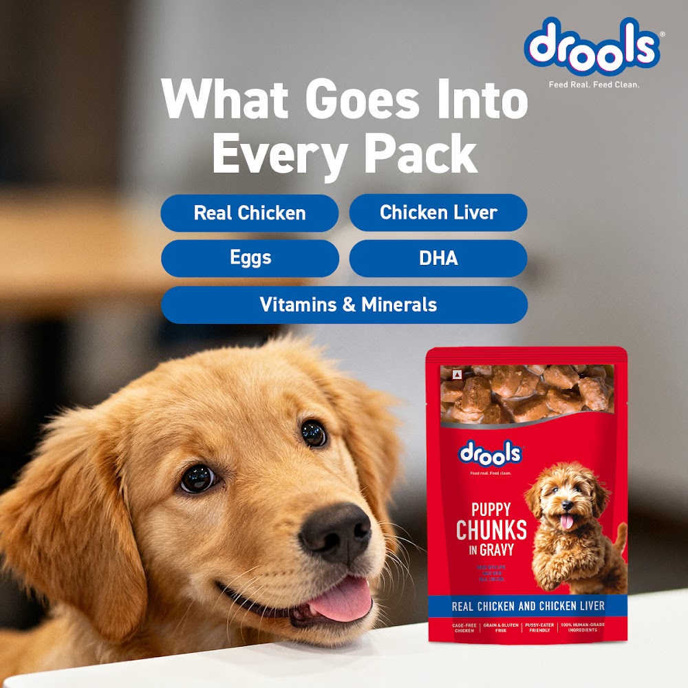 Drools Puppy Wet Dog Food, Real Chicken and Chicken Liver Chunks in Gravy,10 Pouches + 2 Pouches Free (12 x 60g )