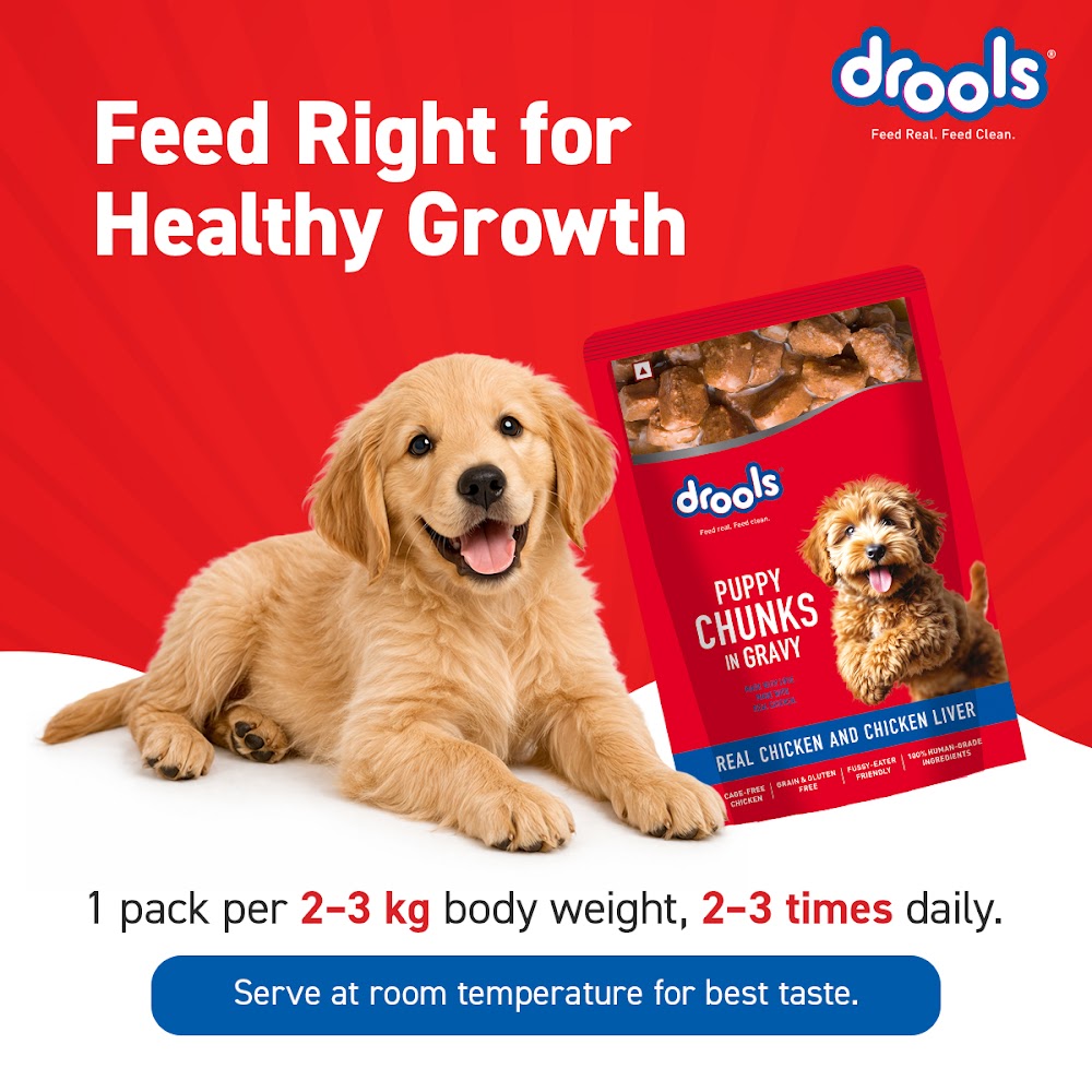 Drools Puppy Wet Dog Food, Real Chicken and Chicken Liver Chunks in Gravy,10 Pouches + 2 Pouches Free (12 x 60g )