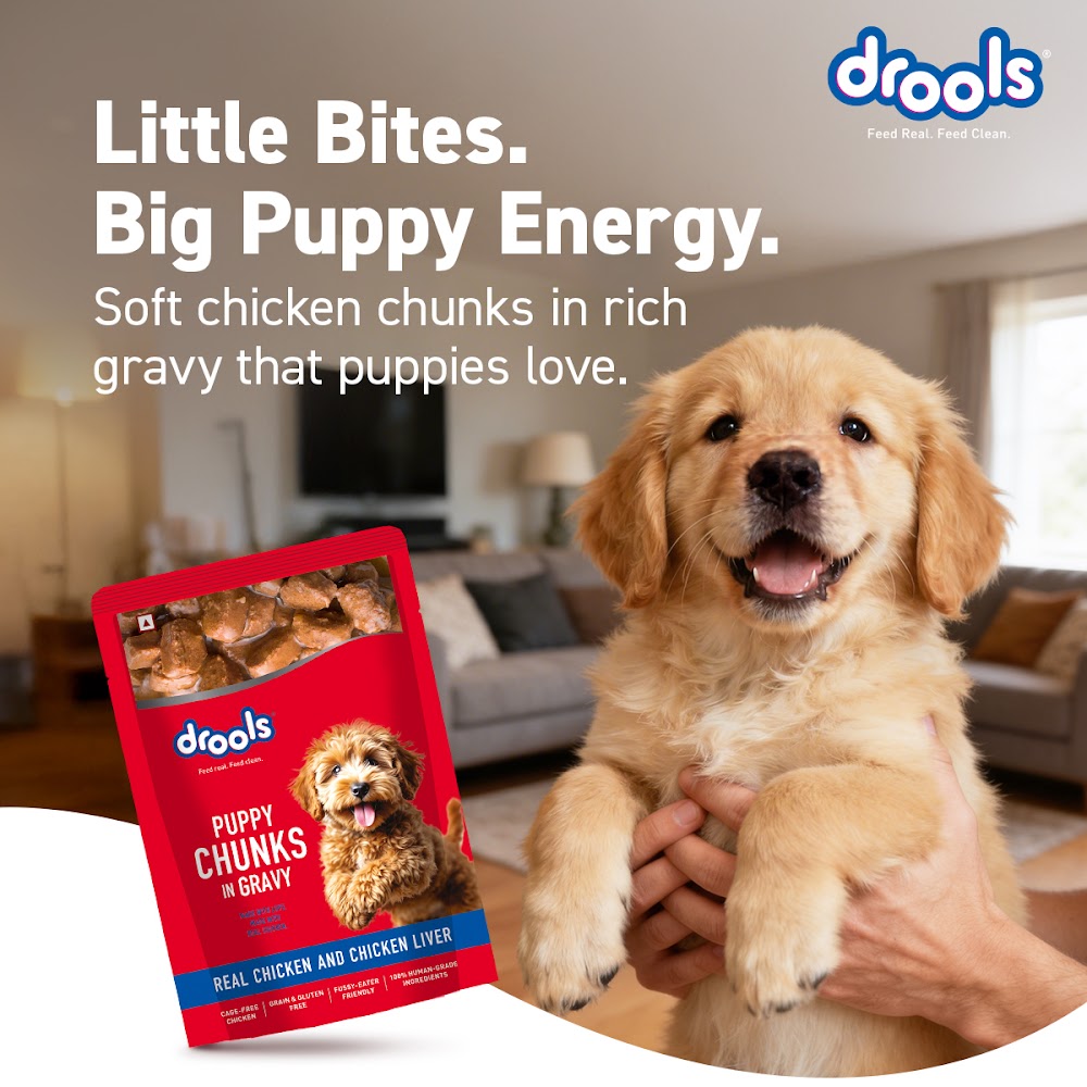 Drools Puppy Wet Dog Food, Real Chicken and Chicken Liver Chunks in Gravy,6 Pouches (6 x 150g)
