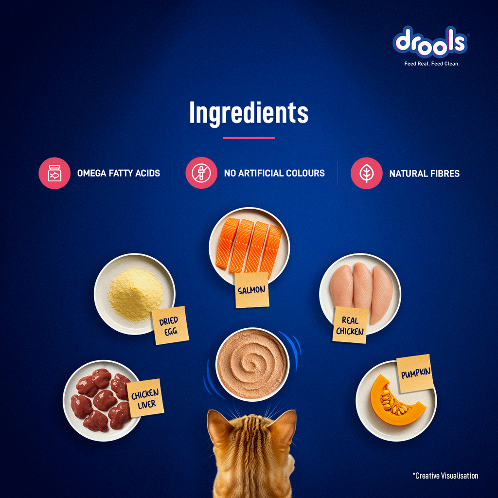 Drools Salmon Mousse Cat Wet Food 80gm