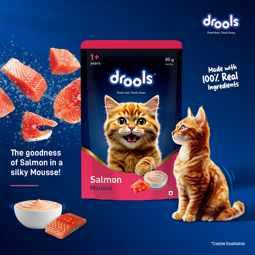 Drools Salmon Mousse Cat Wet Food 80gm