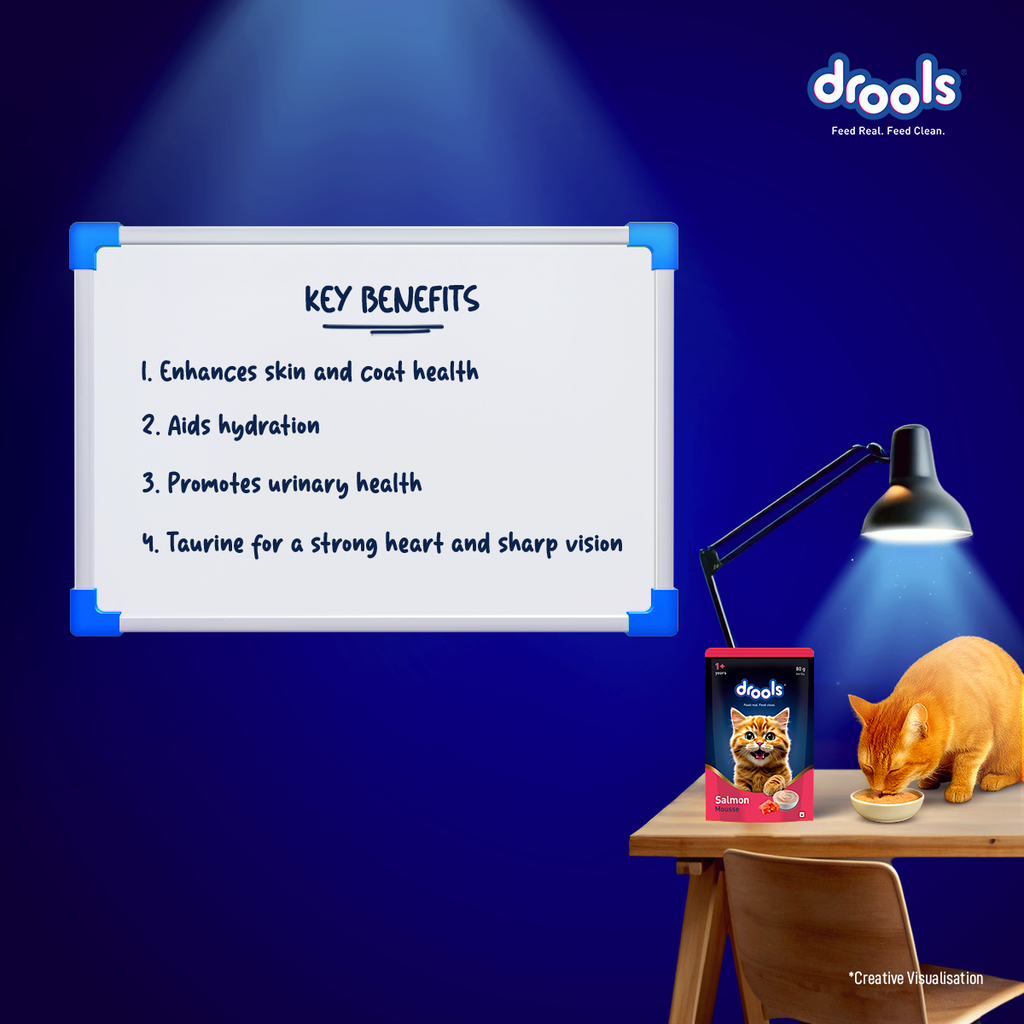 Drools Salmon Mousse Cat Wet Food 80gm