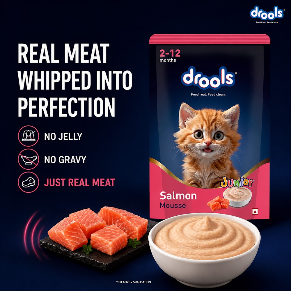 Drools Salmon Mousse Kitten 80gm (5+1) P