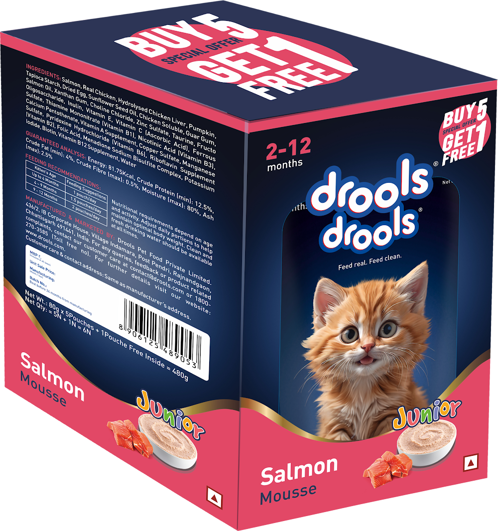 Drools Salmon Mousse Kitten 80gm (5+1) P