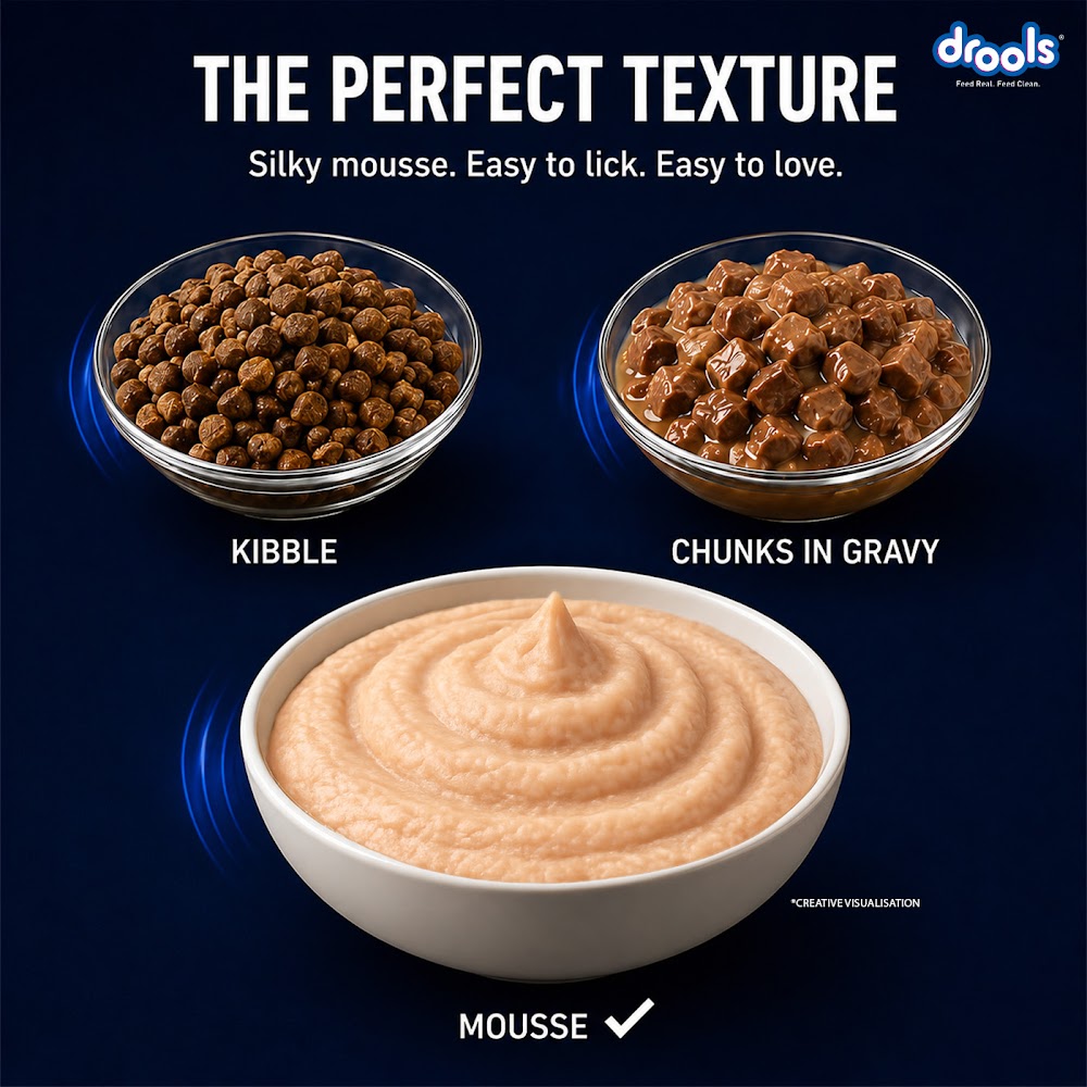 Drools Salmon Mousse Kitten 80gm (5+1) P