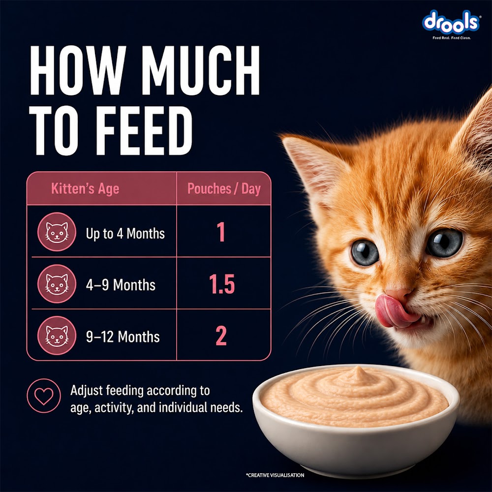 Drools Salmon Mousse Kitten 80gm (5+1) P