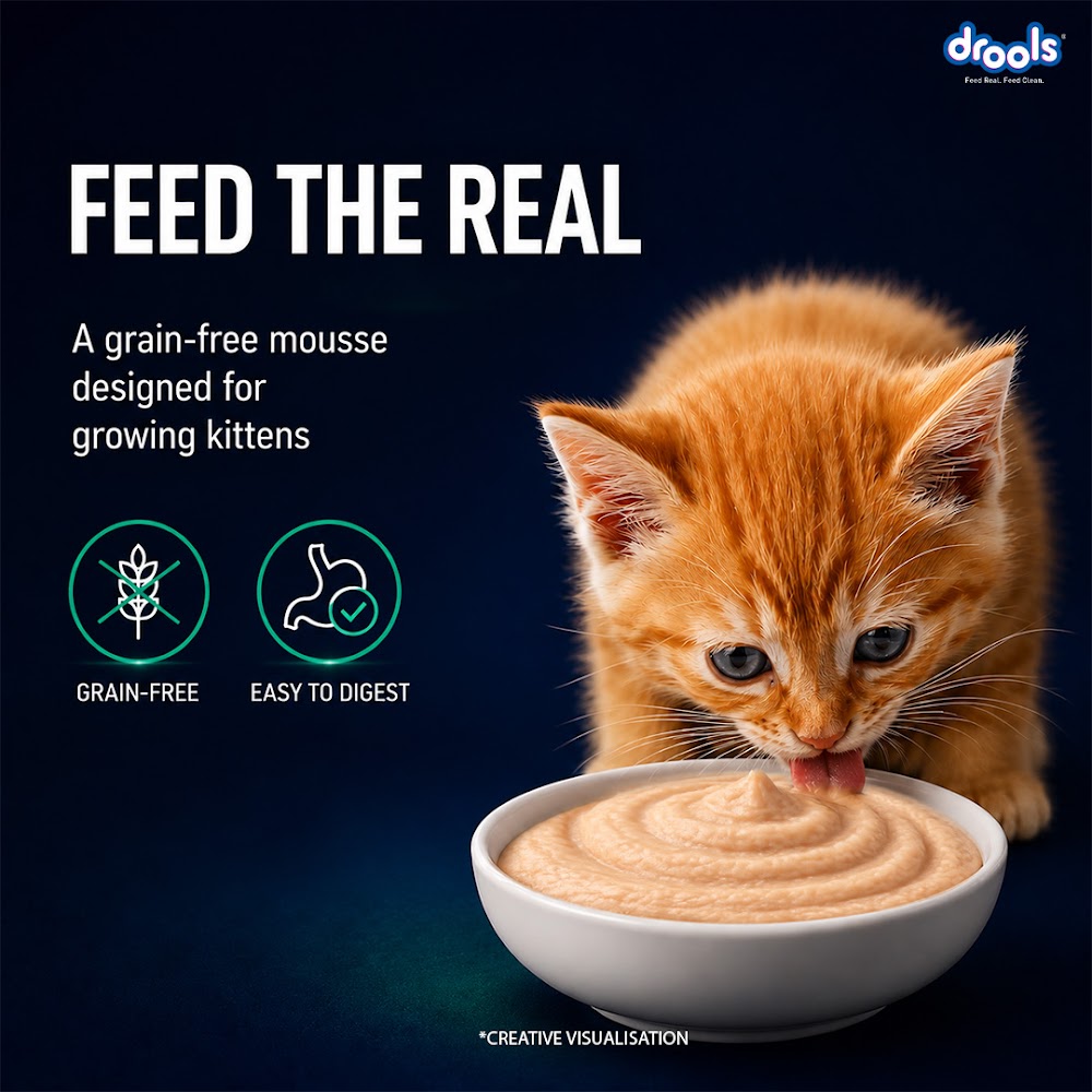 Drools Tuna Mousse Kitten 80gm (5+1) Pc