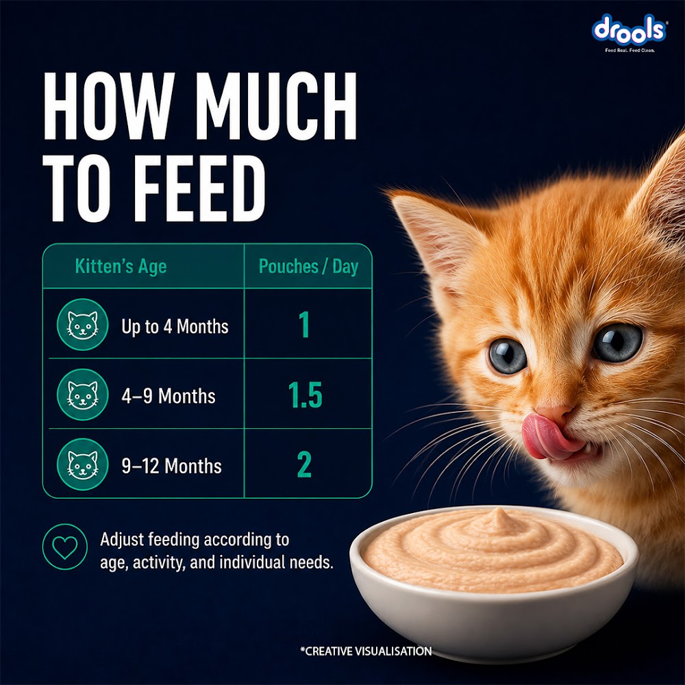 Drools Tuna Mousse Kitten 80gm (5+1) Pc