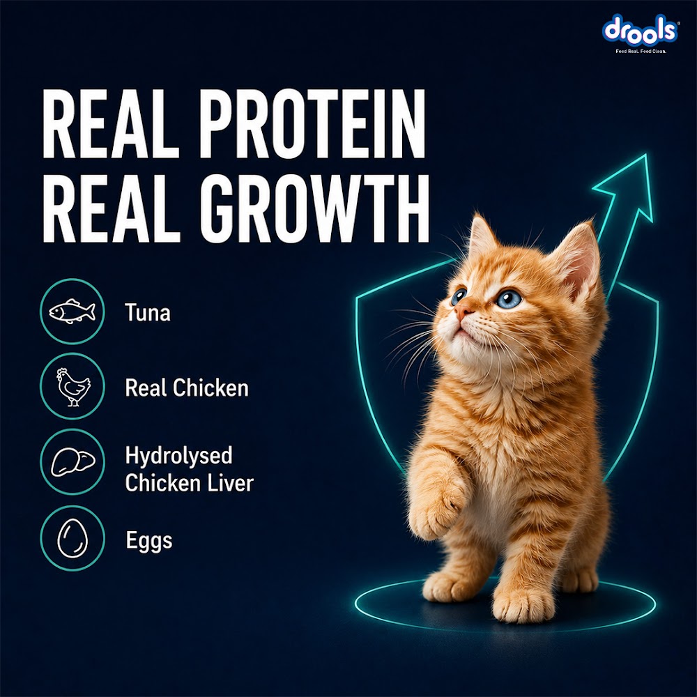 Drools Tuna Mousse Kitten 80gm (5+1) Pc