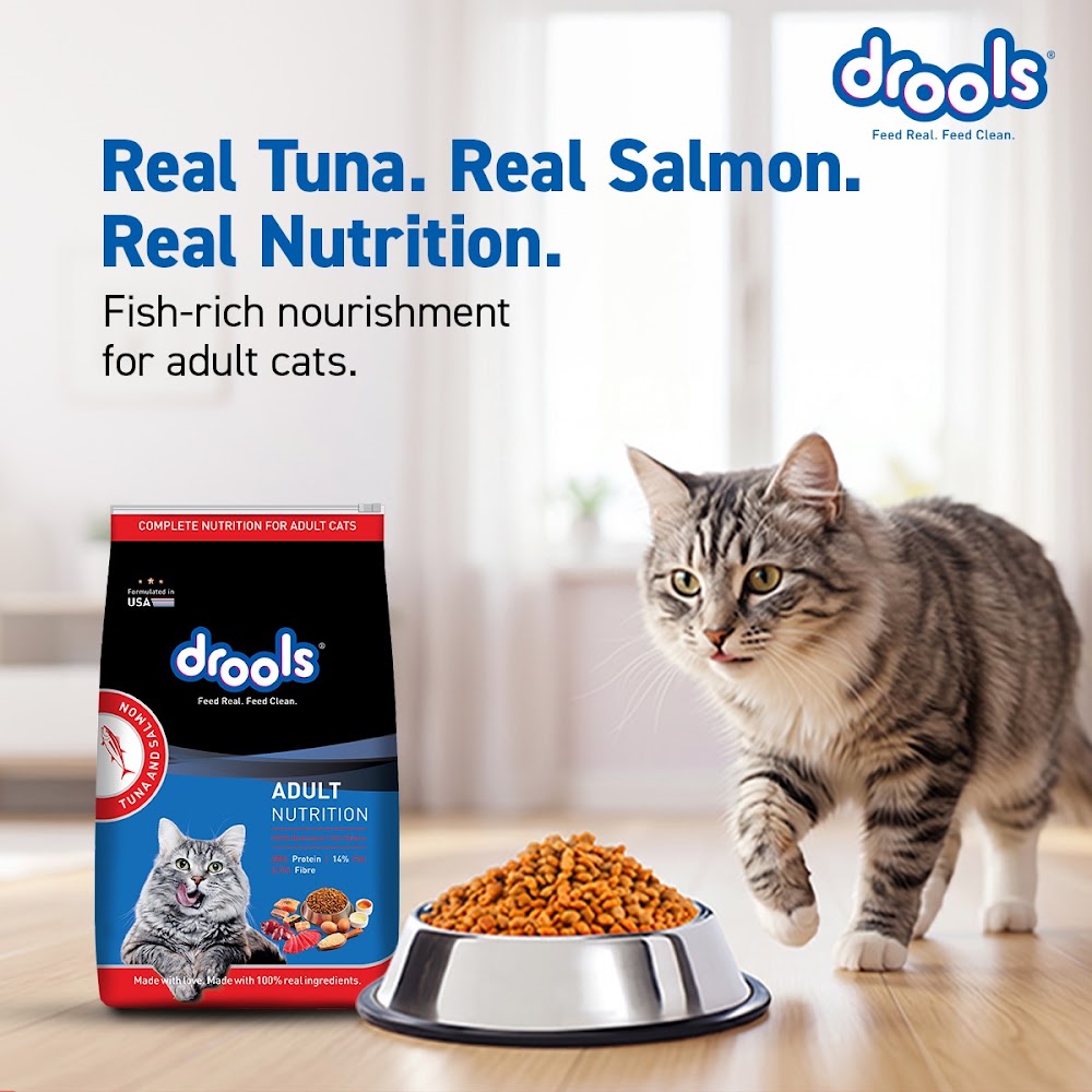 Drools Tuna & Salmon Adult Cat Food, 1.2kg
