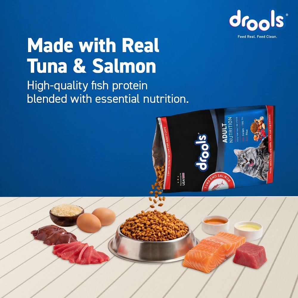 Drools Tuna & Salmon Adult Cat Food, 1.2kg