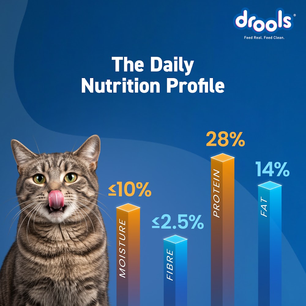 Drools Tuna & Salmon Adult Cat Food, 1.2kg
