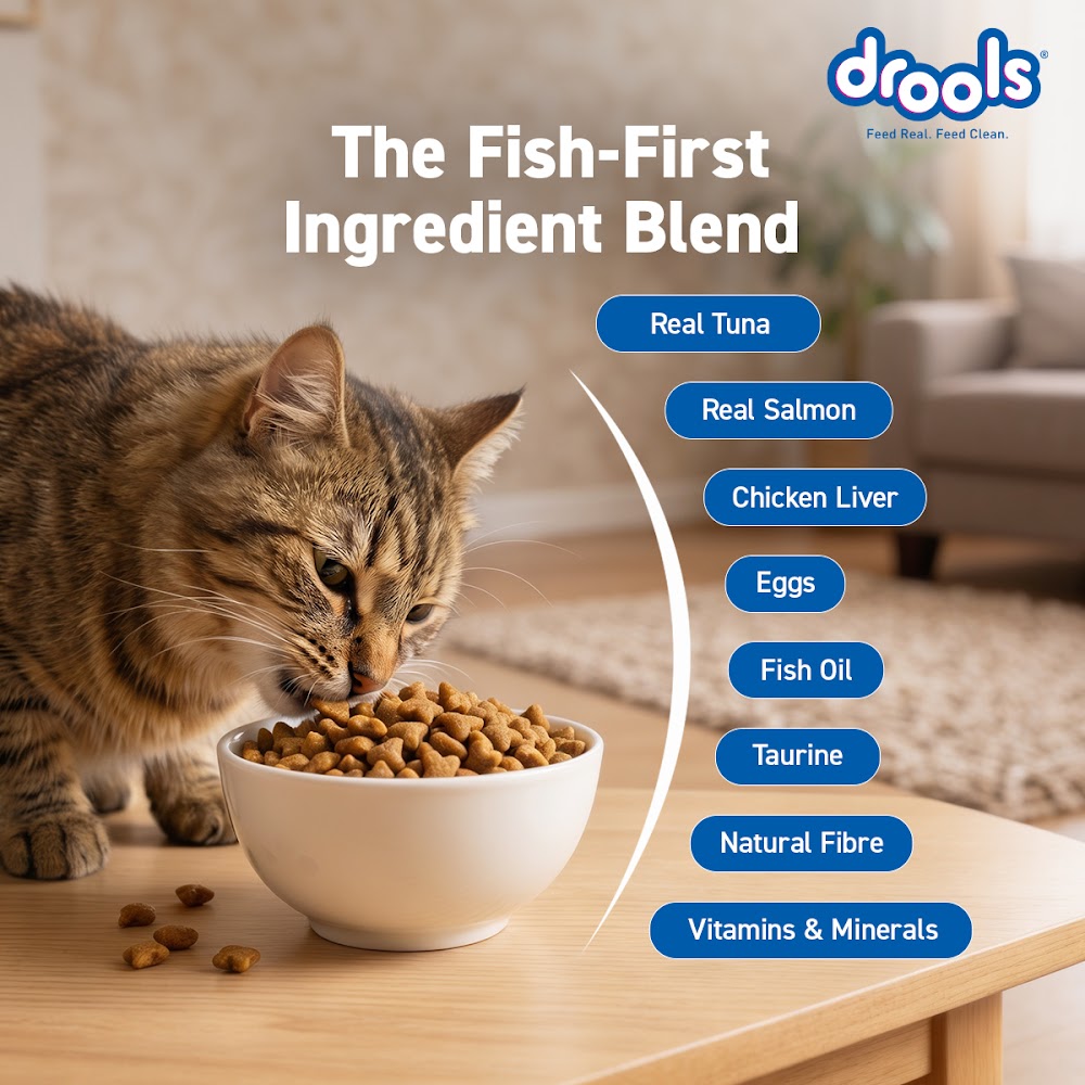 Drools Tuna & Salmon Adult Cat Food, 1.2kg