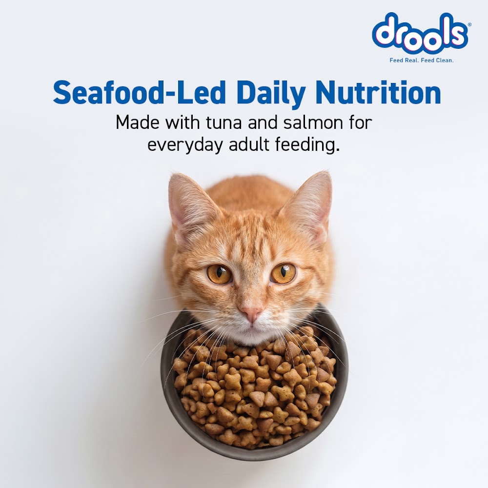 Drools Tuna & Salmon Adult Cat Food, 1.2kg