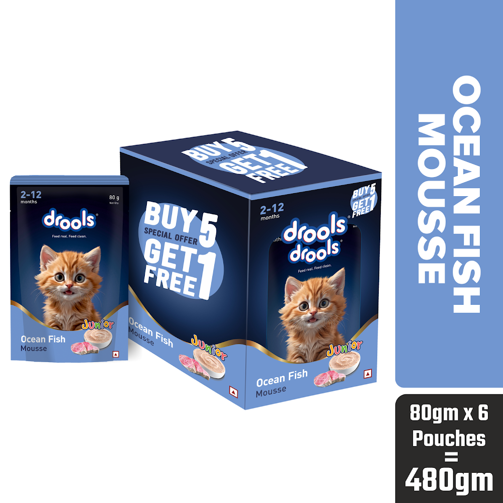 DroolsOceanFish MousseKitten80gm(5+1)Pc
