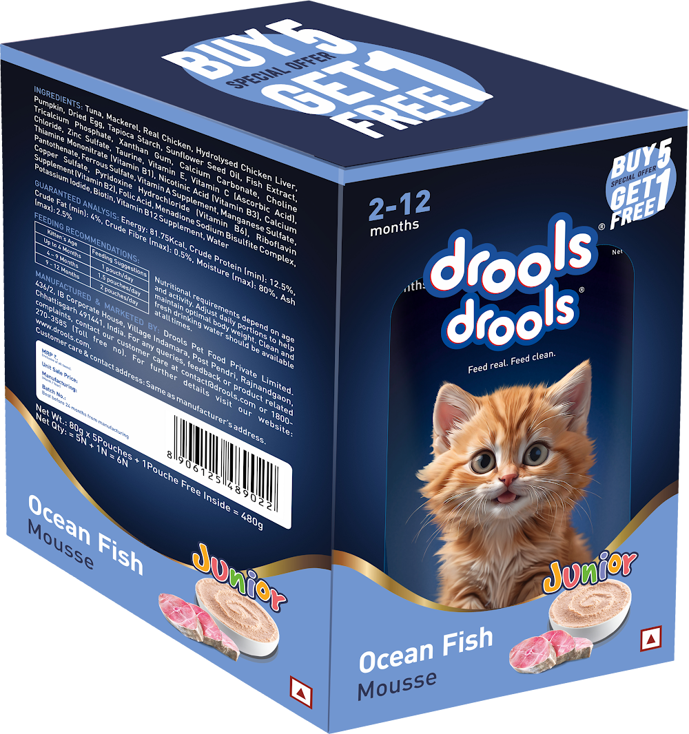DroolsOceanFish MousseKitten80gm(5+1)Pc
