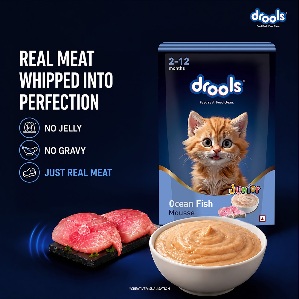 DroolsOceanFish MousseKitten80gm(5+1)Pc