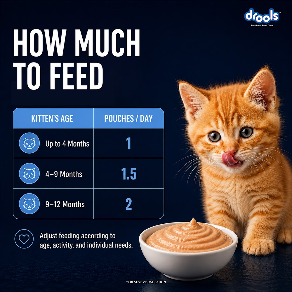 DroolsOceanFish MousseKitten80gm(5+1)Pc