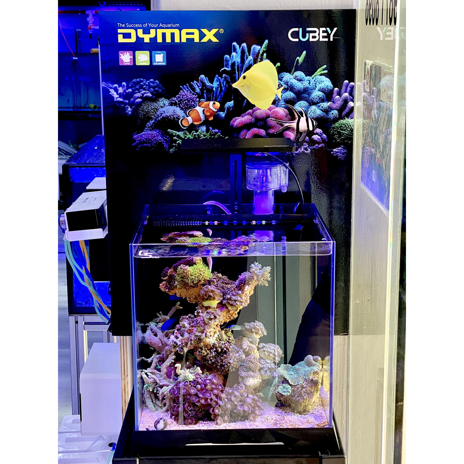 Dymax GS7 Cubey Marine 32 cm
