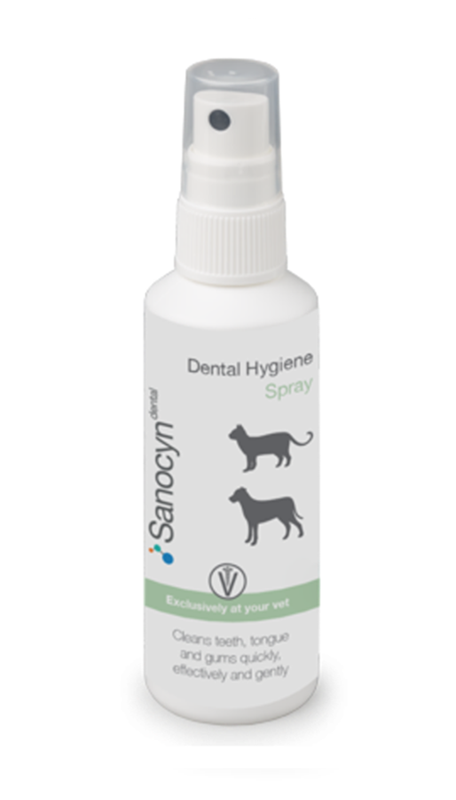 Sanocyn Dogs and Cats Dental Care - HOCL latest technology solution (75 ml) - Made in Austria