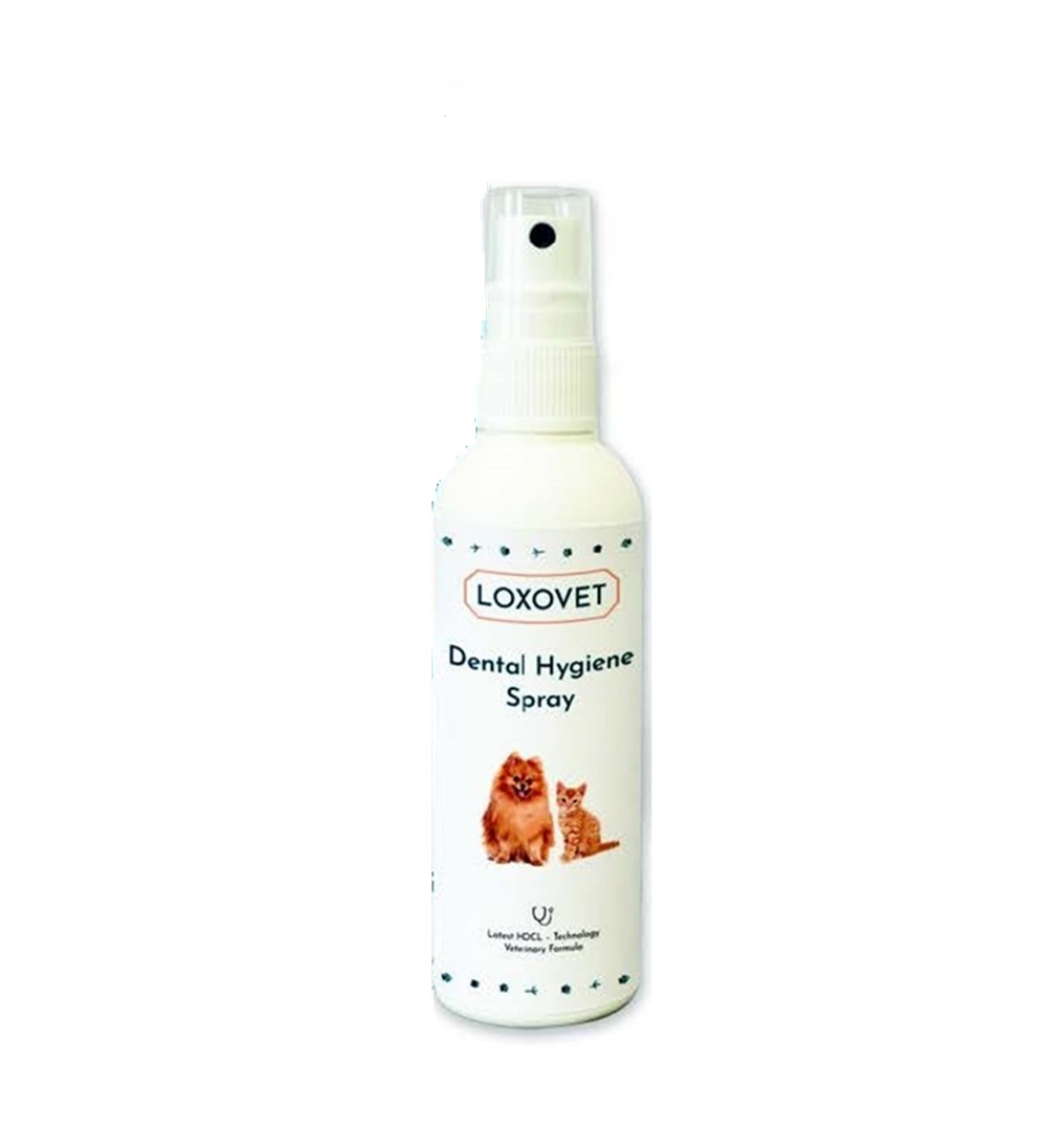 Loxovet Dental Hygiene Spray for Dogs and Cats with Natural Ingredients (100 ml) - Made in Austria