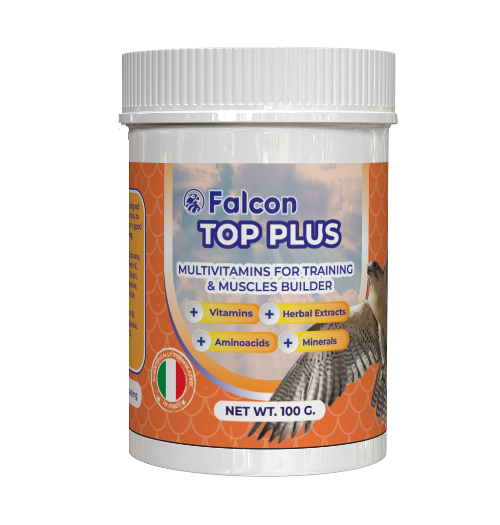 Geavet Falcon Top Plus (100 g) - Multivitamins for Training and Muscles Builder