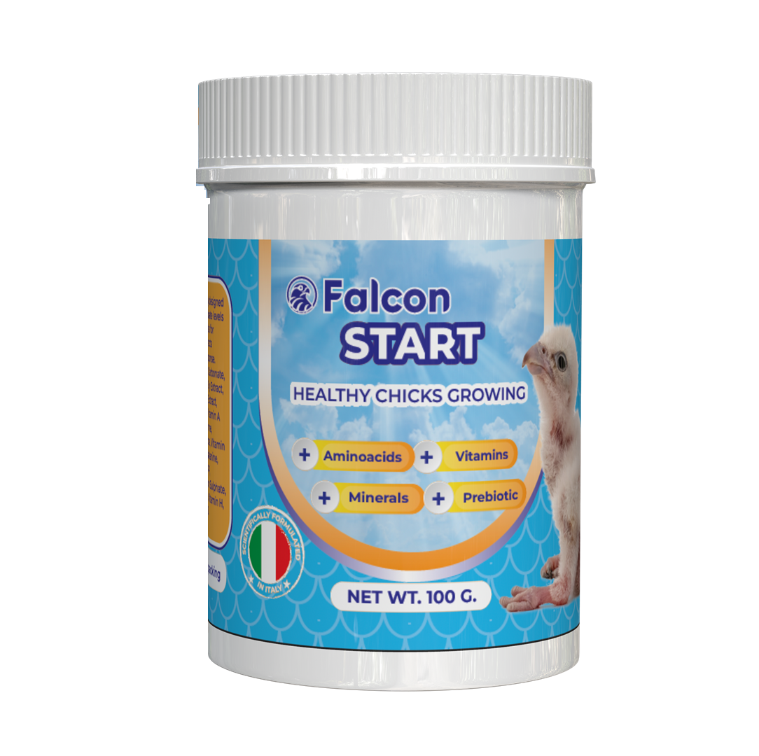 Geavet Falcon Start (100 g) - Healthy Chicks Growing