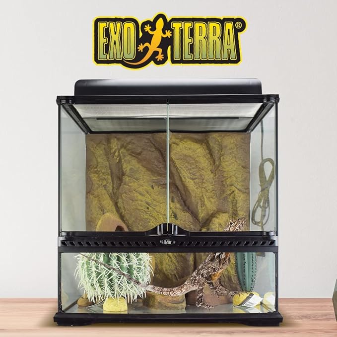 Exo Terra Habitat Kit Desert Medium