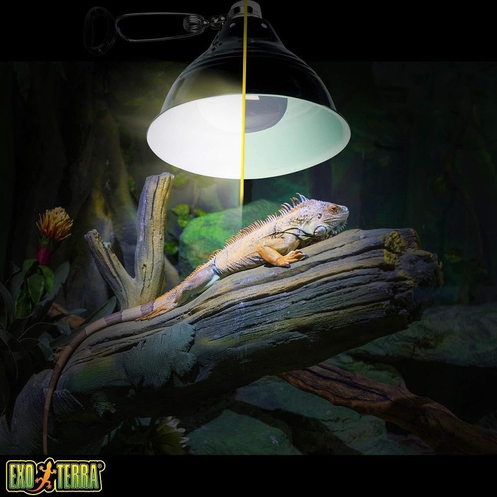 Exo Terra Intense Basking Spot 25 W
