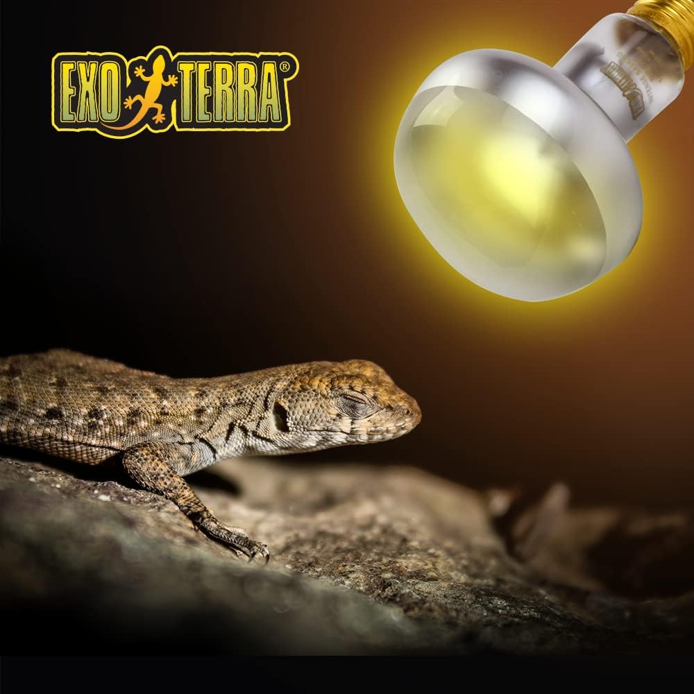 Exo Terra Intense Basking Spot 50 W