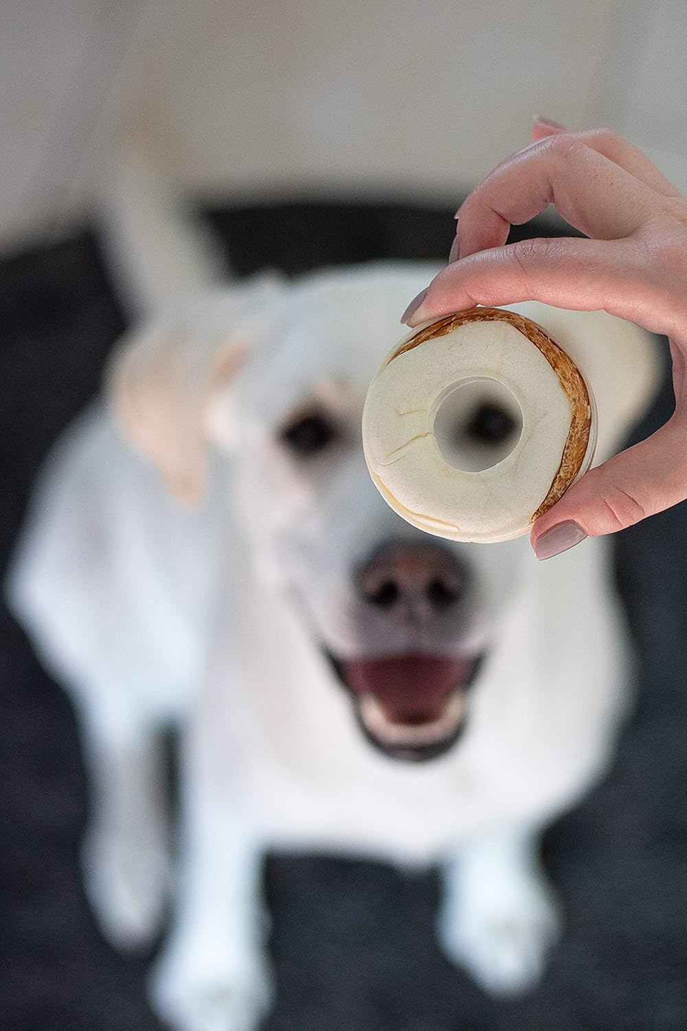 Expiring on- 01/02/2026 - 8in1 Delights Chicken Rings 3ct